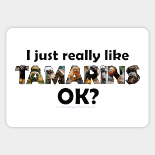 I just really like TAMARINS , ok? - wildlife oil painting word art Magnet